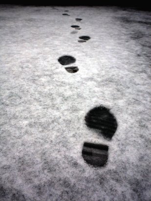 footprints_in_the_snow_by_moon_noir-d5yw6k7
