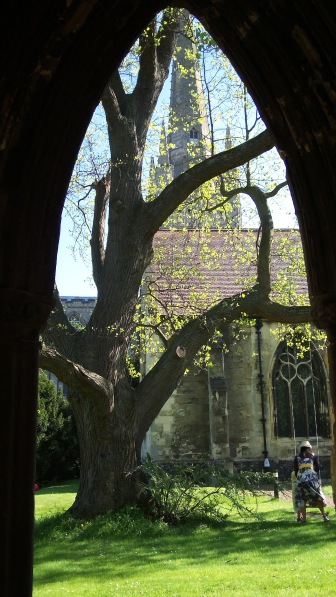 Norwich Cathedral in Spring 3